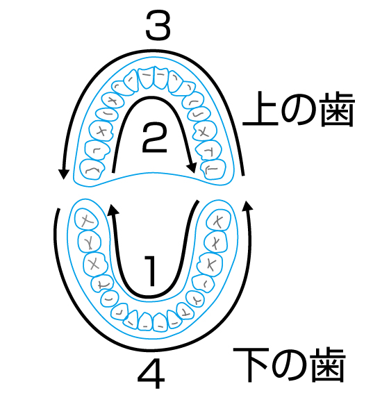 歯を上下・表裏で一筆書きを書くように磨くイラスト